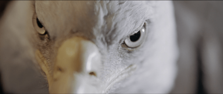 Schermafdruk 2018-12-21 00.07.50