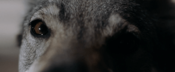 Schermafdruk 2018-12-22 19.41.33