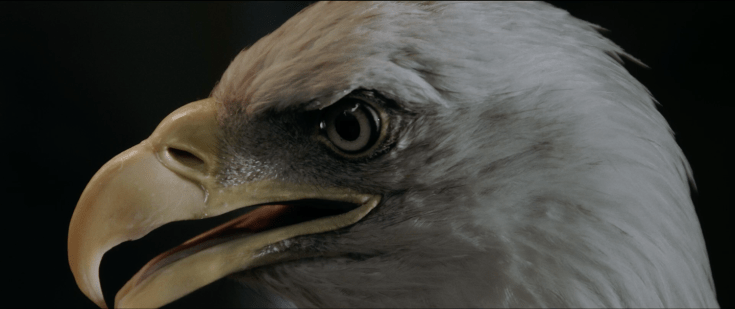 Schermafdruk 2018-12-22 19.43.54